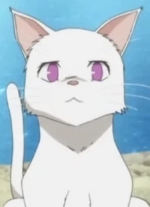 Charakter: Himari NOIHARA [Cat Form]
