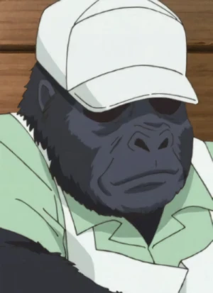 Charakter: Gorilla mittleren Alters von der Küche