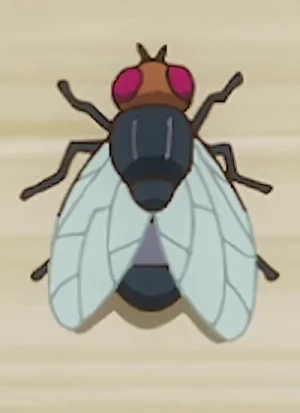 Charakter: Beelzebub  [Insekt]