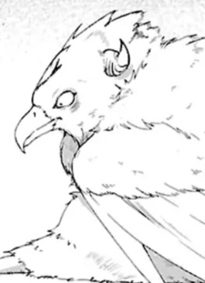 Cover [U97K]
