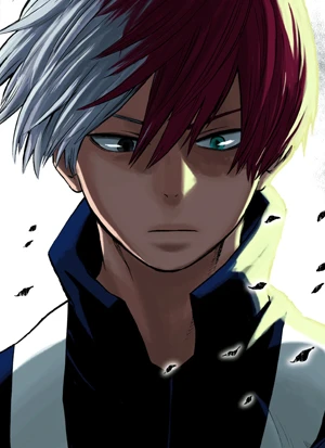 Shoto TODOROKI