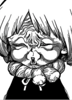 Cover [X91B]