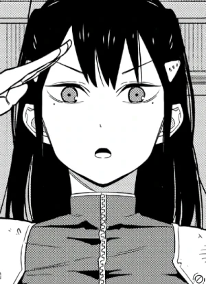 Cover [ZF04]