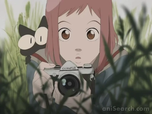 Screenshots [13626]