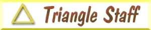 Firma: Triangle Staff Corp.