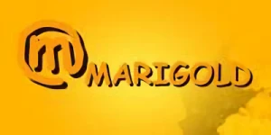 Firma: Marigold Co., Ltd.