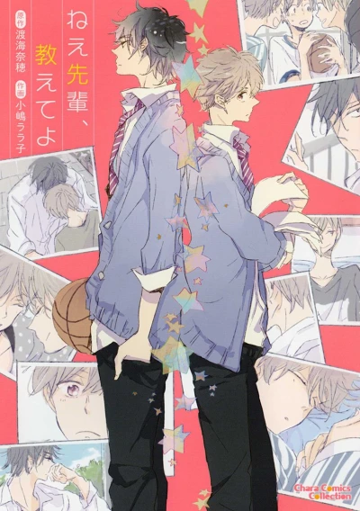 Manga: Sag mir bitte, was Liebe ist