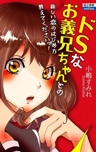 Manga: Do S na Oniichan to no Atarashii Koi no Hajimekata Oshiete Kudasai!