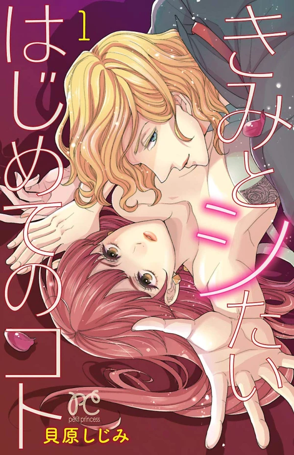 Manga: Kimi to Shitai Hajimete no Koto