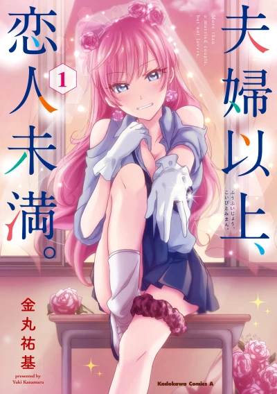 Manga: More than a Married Couple, but Not Lovers