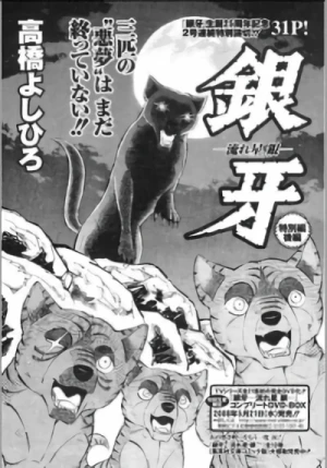 Manga: Ginga Nagareboshi Gin: Special Chapter