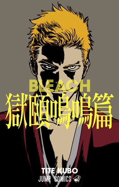 Manga: Bleach: Special One-shot
