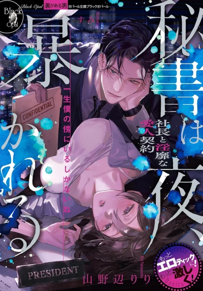 Manga: Hisho wa Yoru, Abakareru Shachou to Inbi na Aijin Keiyaku