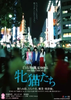 Film: Dawn of the Felines: Sündiges Tokio