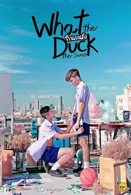 Film: What the Duck