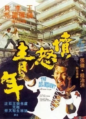 Film: Sheng Chang und die Karate-Bande