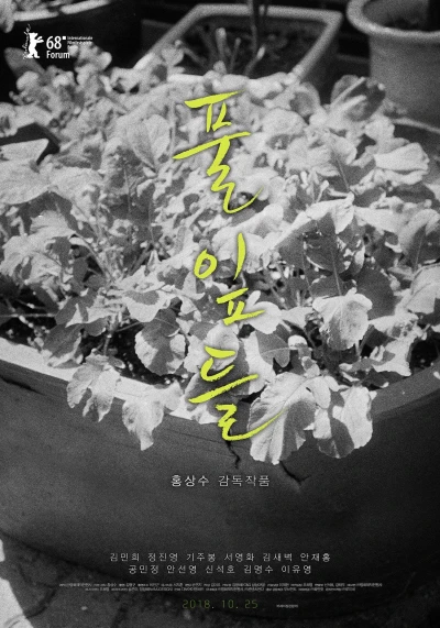 Film: Grass