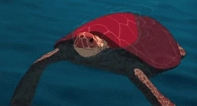 News: „The Red Turtle“ gewinnt Jurypreis bei den Filmfestspielen in Cannes