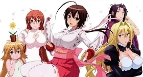 News: „Sekirei“-Anime erhält DVD-Gesamtausgabe