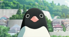 News: „Penguin Highway“-Review: Limited Edition Blu-ray von Kazé