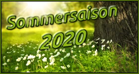 News: Simulcast-Übersicht Sommer 2020